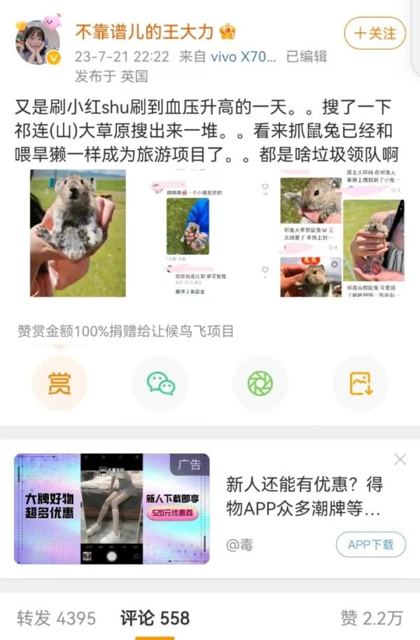 游客晒手持鼠兔照片引关注,专家提醒 游客晒手持鼠兔照片引关注,专家提醒