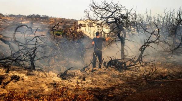 野火蔓延犹如“灾难片”,数万人紧急撤离罗得岛 野火蔓延犹如“灾难片”,数万人紧急撤离罗得岛