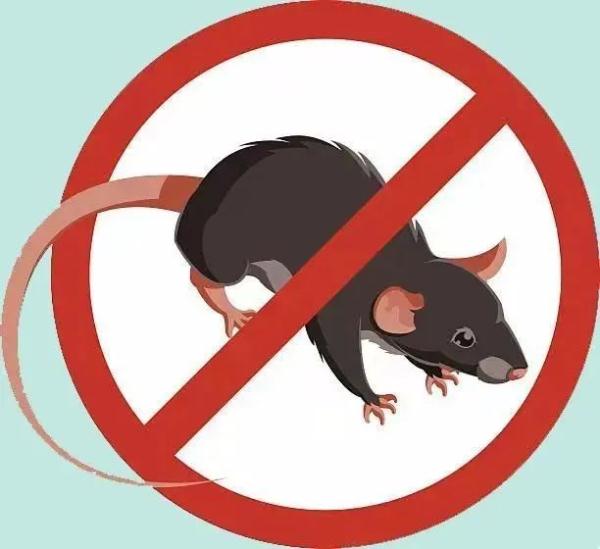 湖南疾控最新提醒:汛期警惕这些传染病 湖南疾控最新提醒:汛期警惕这些传染病