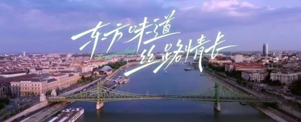 《中餐厅7》首播收视夺冠 “双店长制”引网友热议