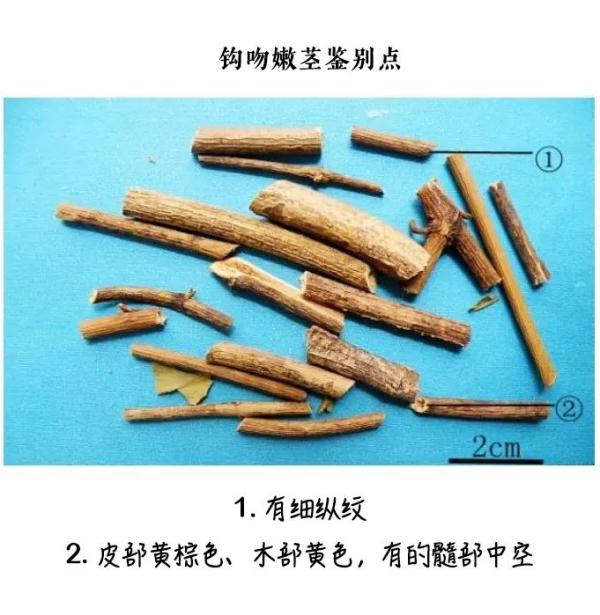 这些常见植物有剧毒！极易与煲汤料混淆！