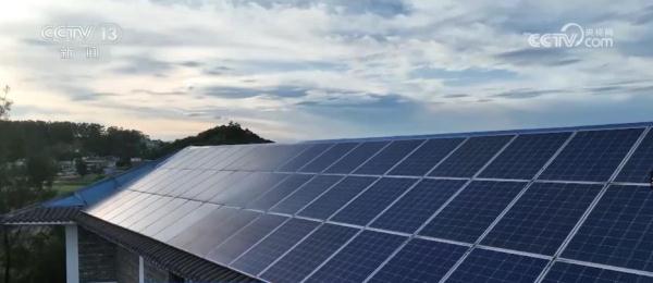 中华凤头燕鸥与黑颈鹤频频现身自然保护区 中华凤头燕鸥与黑颈鹤频频现身自然保护区