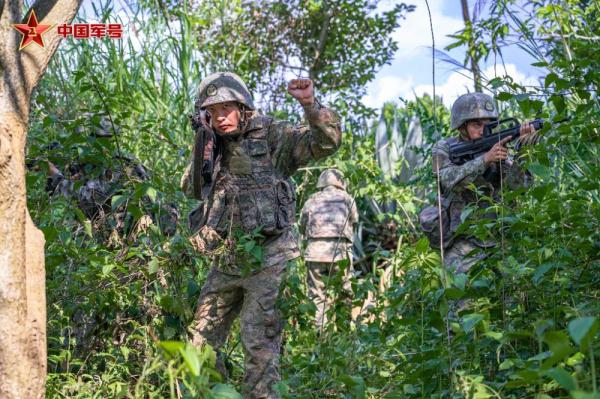 密林深处：第75集团军某旅跨昼夜进攻战斗演练掠影