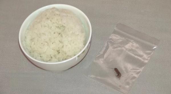 男子多次“含蟑螂”下馆子,要求商家十倍赔偿…警方:拘! 男子多次“含蟑螂”下馆子,要求商家十倍赔偿…警方:拘!