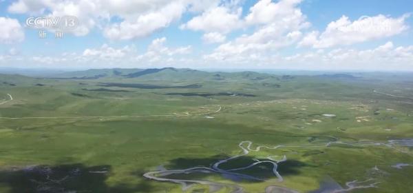 中华凤头燕鸥与黑颈鹤频频现身自然保护区 中华凤头燕鸥与黑颈鹤频频现身自然保护区