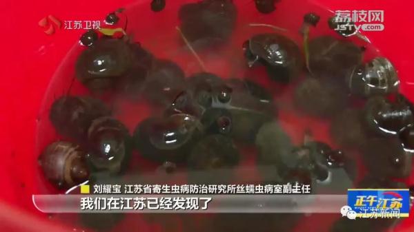 别碰别吃！寄生虫多达6000条！江苏已开展专项监测