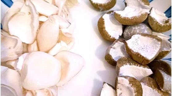 广东的竹林能“生蛋”? 广东的竹林能“生蛋”?