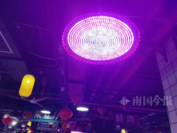 明确不得使用!柳州人买生肉注意,12月1日起施行 明确不得使用!柳州人买生肉注意,12月1日起施行