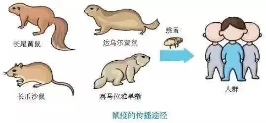 去这些地方旅游的人请注意！这个热潮网红项目直接拒绝！