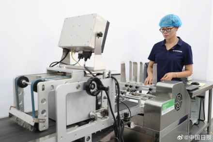 山东寿光：科技助力国产蔬菜种子走向全国