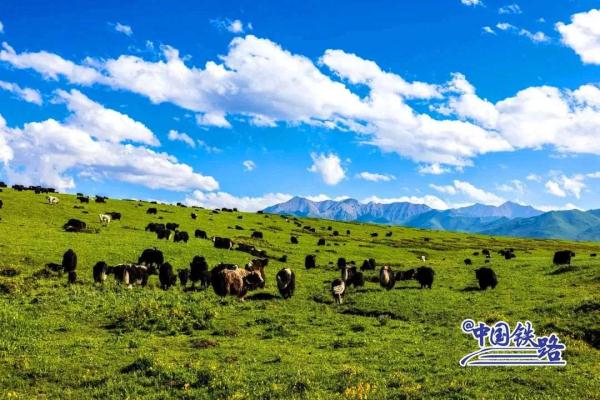 绝美!动车组驶过全世界海拔最高的高铁站 绝美!动车组驶过全世界海拔最高的高铁站