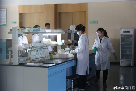 山东寿光：科技助力国产蔬菜种子走向全国