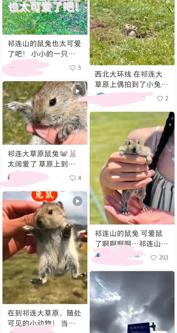 去这些地方旅游的人请注意！这个热潮网红项目直接拒绝！