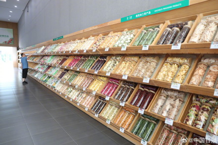 山东寿光：科技助力国产蔬菜种子走向全国