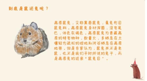 这类游客照引关注，专家提醒：危险，别碰！
