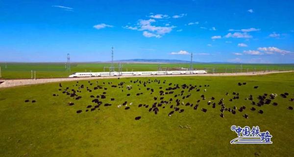 绝美!动车组驶过全世界海拔最高的高铁站 绝美!动车组驶过全世界海拔最高的高铁站