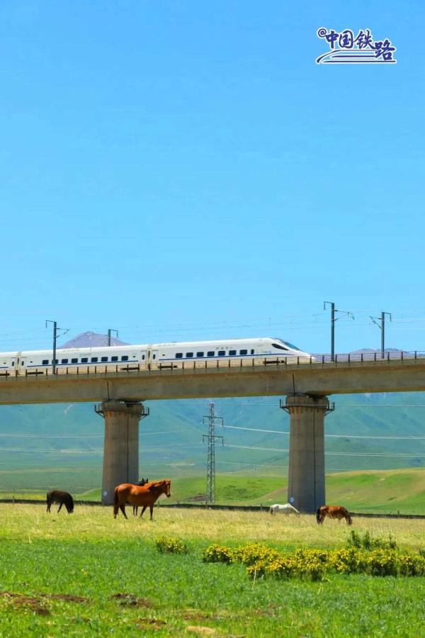绝美!动车组驶过全世界海拔最高的高铁站 绝美!动车组驶过全世界海拔最高的高铁站