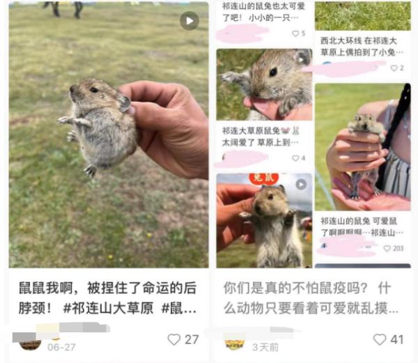 这类游客照引关注，专家提醒：危险，别碰！