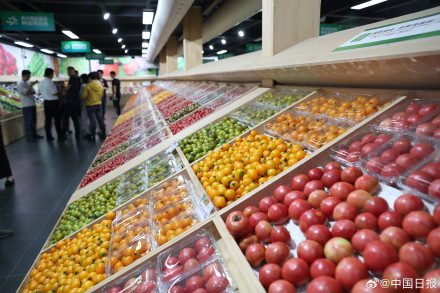 山东寿光：科技助力国产蔬菜种子走向全国