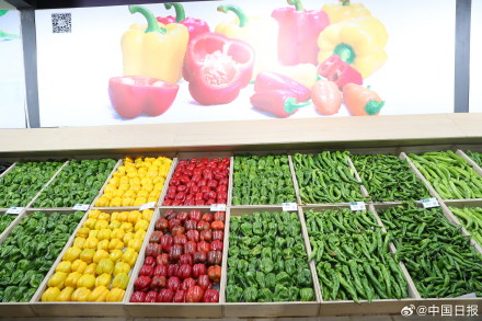 山东寿光：科技助力国产蔬菜种子走向全国