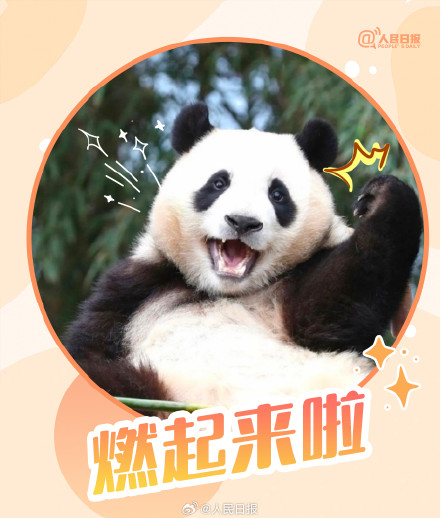 转发收藏!大运会专属熊猫加油表情包上线