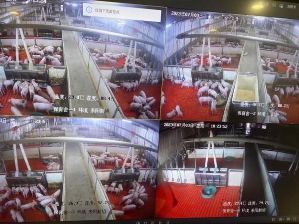 猪肉价格走势观察 猪肉价格走势观察