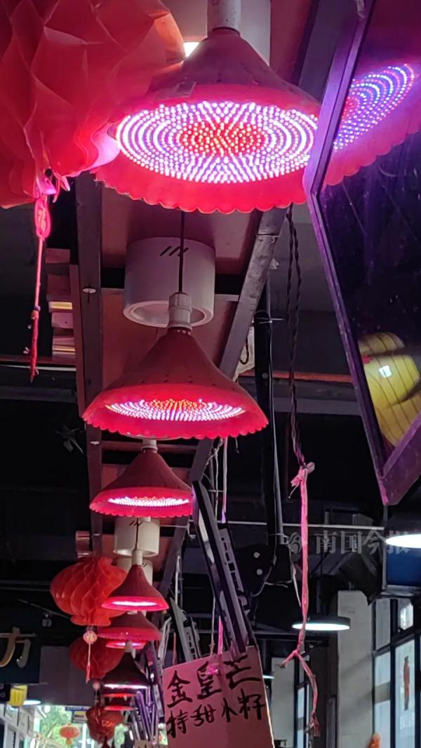 明确不得使用!柳州人买生肉注意,12月1日起施行 明确不得使用!柳州人买生肉注意,12月1日起施行