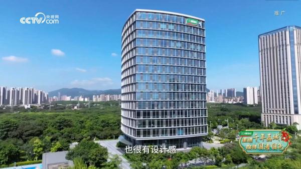 三棵树探厂之国漆国色系列报道⑤∣三棵树菁英大楼以绿色低碳之力绽放健康生态之美