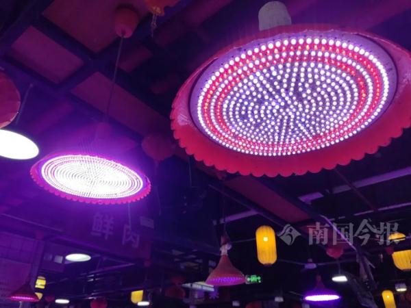 明确不得使用!柳州人买生肉注意,12月1日起施行 明确不得使用!柳州人买生肉注意,12月1日起施行