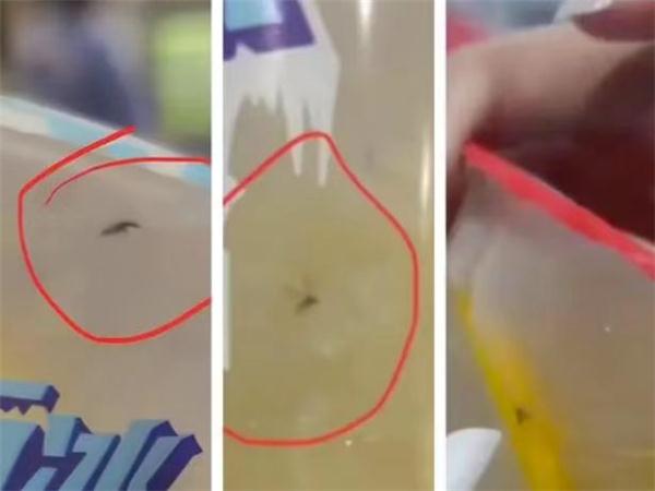 恐怖！女子买蜜雪冰城接连3杯都有虫……