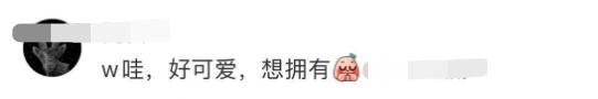 这类游客照引关注，专家提醒：危险，别碰！