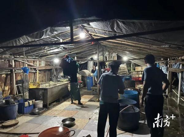 污水横流、隐匿山林，记者深夜暗访活禽私宰点发现……