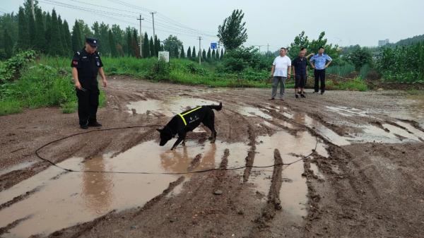 “汪汪队立大功”!警犬出击,走失老人成功获救 “汪汪队立大功”!警犬出击,走失老人成功获救