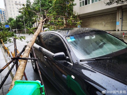 用一组图记录台风杜苏芮破坏力有多强