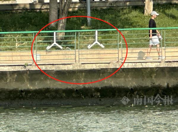100个，就在柳江边！关键时候能救命→
