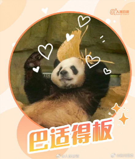 转发收藏！熊猫加油表情包来啦