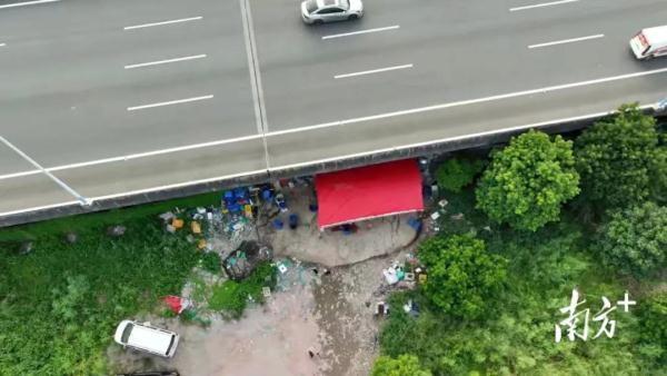 污水横流、隐匿山林，记者深夜暗访活禽私宰点发现……