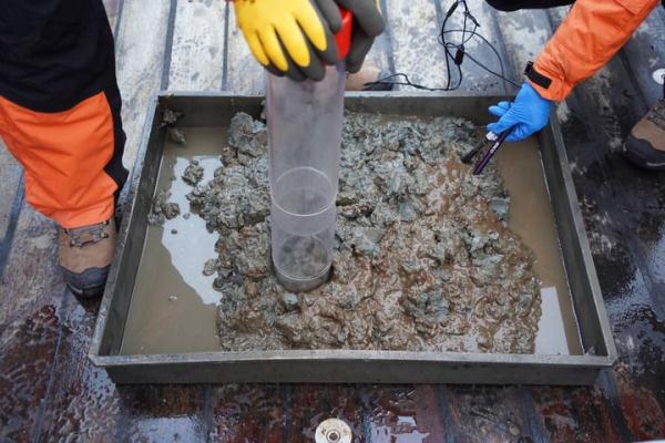 中国第13次北冰洋科学考察队正式开始大洋科考作业