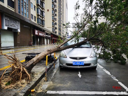 用一组图记录台风杜苏芮破坏力有多强