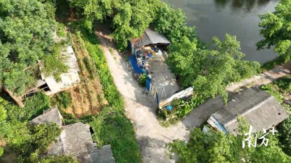 污水横流、隐匿山林，记者深夜暗访活禽私宰点发现……