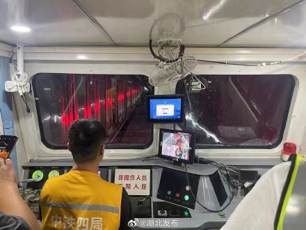 光谷地铁年底直达武汉站 武汉地铁19号线全线轨道铺设完成 光谷地铁年底直达武汉站 武汉地铁19号线全线轨道铺设完成