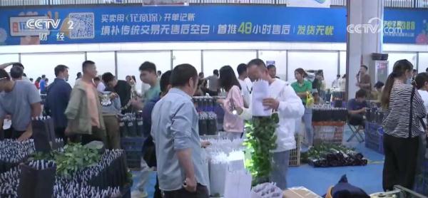 暑期游、避暑游带动斗南花市消费 日销鲜花近3千万枝