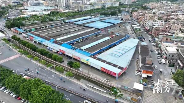 污水横流、隐匿山林，记者深夜暗访活禽私宰点发现……