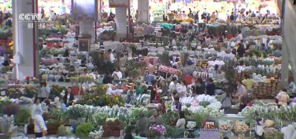 暑期游、避暑游带动斗南花市消费 日销鲜花近3千万枝