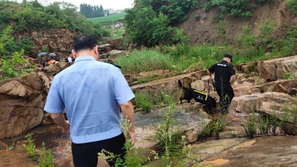 “汪汪队立大功”!警犬出击,走失老人成功获救 “汪汪队立大功”!警犬出击,走失老人成功获救