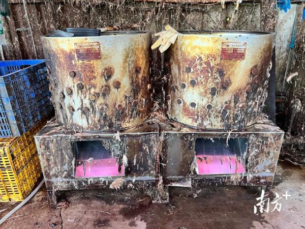 污水横流、隐匿山林，记者深夜暗访活禽私宰点发现……