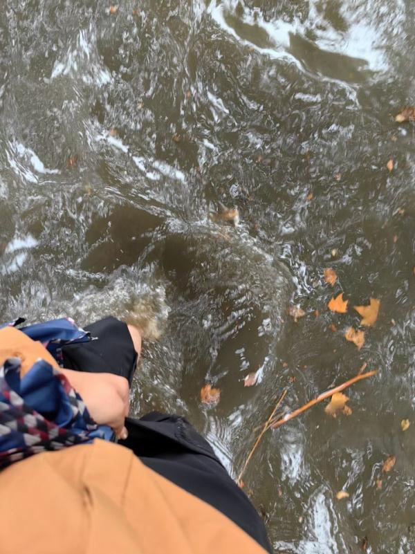 暴雨袭城！今早昆明多条道路淹水断交，最新情况→