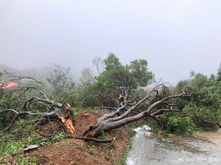 用一组图记录台风杜苏芮破坏力有多强