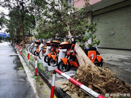用一组图记录台风杜苏芮破坏力有多强