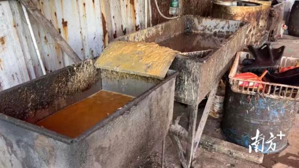 污水横流、隐匿山林，记者深夜暗访活禽私宰点发现……